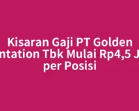 Kisaran Gaji PT Golden Plantation Tbk Mulai Rp4,5 Juta per Posisi