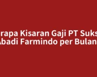 Berapa Kisaran Gaji PT Sukses Abadi Farmindo per Bulan?