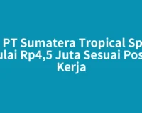 Gaji PT Sumatera Tropical Spices Mulai Rp4,5 Juta Sesuai Posisi Kerja