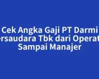 Cek Angka Gaji PT Darmi Bersaudara Tbk dari Operator Sampai Manajer