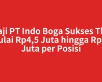 Gaji PT Indo Boga Sukses Tbk Mulai Rp4,5 Juta hingga Rp12 Juta per Posisi
