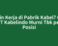 Ingin Kerja di Pabrik Kabel? Gaji PT Kabelindo Murni Tbk per Posisi