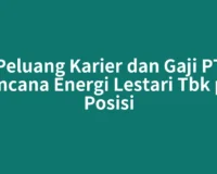 Peluang Karier dan Gaji PT Kencana Energi Lestari Tbk per Posisi