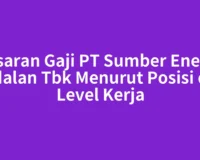 Kisaran Gaji PT Sumber Energi Andalan Tbk Menurut Posisi dan Level Kerja
