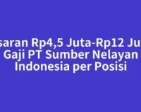 Kisaran Rp4,5 Juta-Rp12 Juta: Gaji PT Sumber Nelayan Indonesia per Posisi