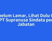 Sebelum Lamar, Lihat Dulu Gaji PT Supranusa Sindata per Jabatan