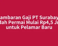 Gambaran Gaji PT Surabaya Indah Permai Mulai Rp4,5 Juta untuk Pelamar Baru
