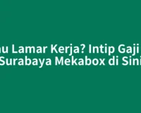 Mau Lamar Kerja? Intip Gaji PT Surabaya Mekabox di Sini
