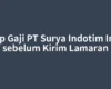Intip Gaji PT Surya Indotim Imex sebelum Kirim Lamaran
