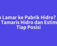 Mau Lamar ke Pabrik Hidro? Gaji PT Tamaris Hidro dan Estimasi Tiap Posisi