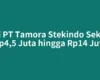 Gaji PT Tamora Stekindo Sekitar Rp4,5 Juta hingga Rp14 Juta