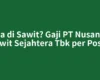 Kerja di Sawit? Gaji PT Nusantara Sawit Sejahtera Tbk per Posisi