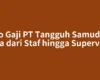Info Gaji PT Tangguh Samudera Jaya dari Staf hingga Supervisor