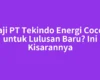Gaji PT Tekindo Energi Cocok untuk Lulusan Baru? Ini Kisarannya