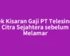 Cek Kisaran Gaji PT Telesindo Citra Sejahtera sebelum Melamar